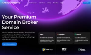 Screenshot of the NameExperts.com website for review of top domain brokerages.