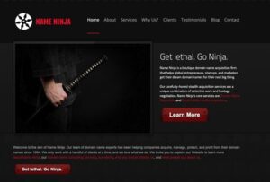 Screenshot of Name Ninja website for round up of domain name brokerage services by Name Experts founder Joe Uddeme.