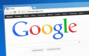 Google search box to denote the importance of a domain name