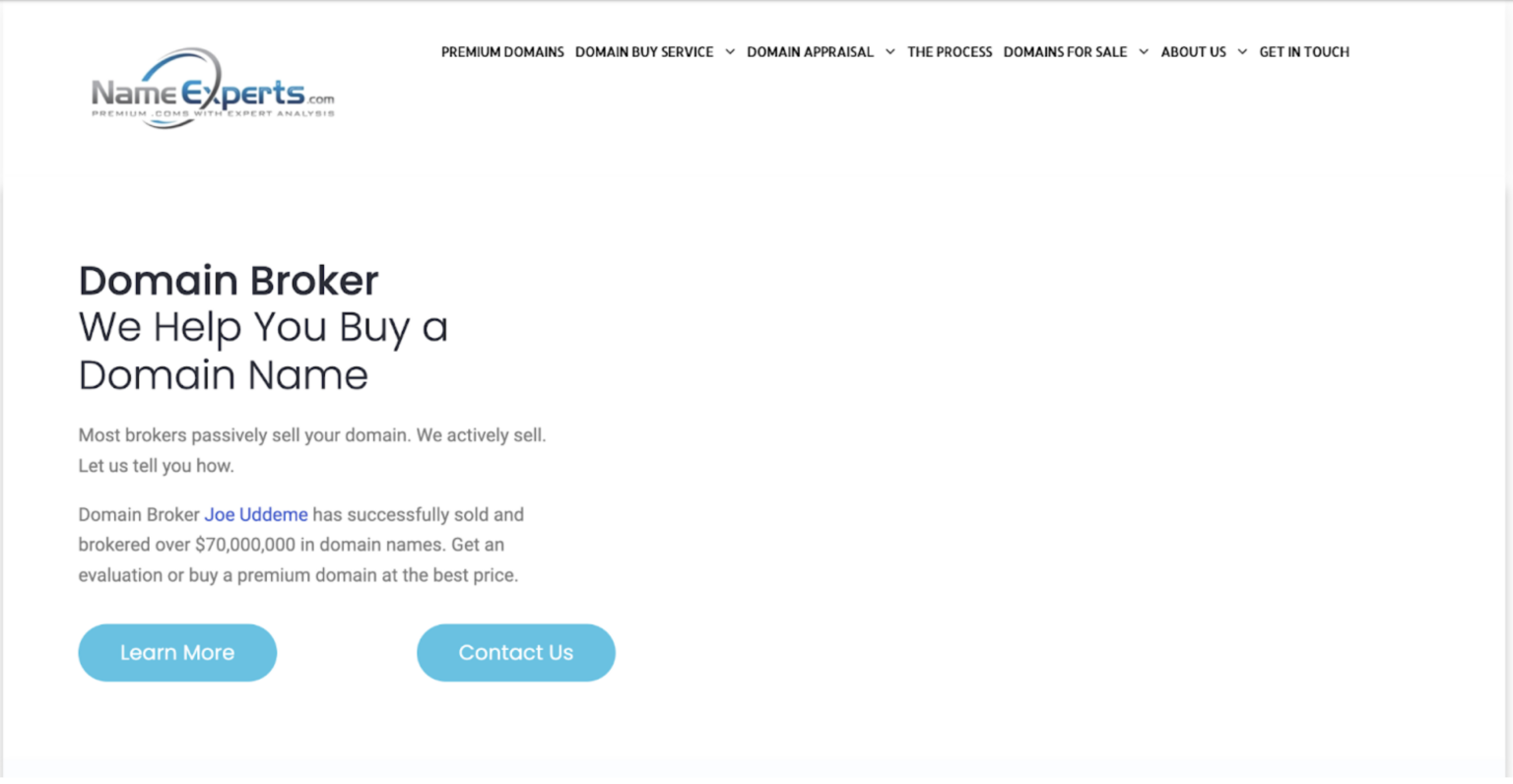 Historical screenshot from the archives showing a screengrab of Name Experts homepage
