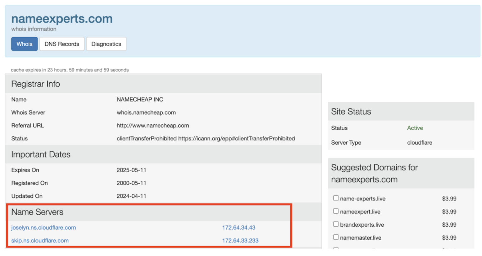 Third screengrab of NameExperts.com entry on WHOIS site