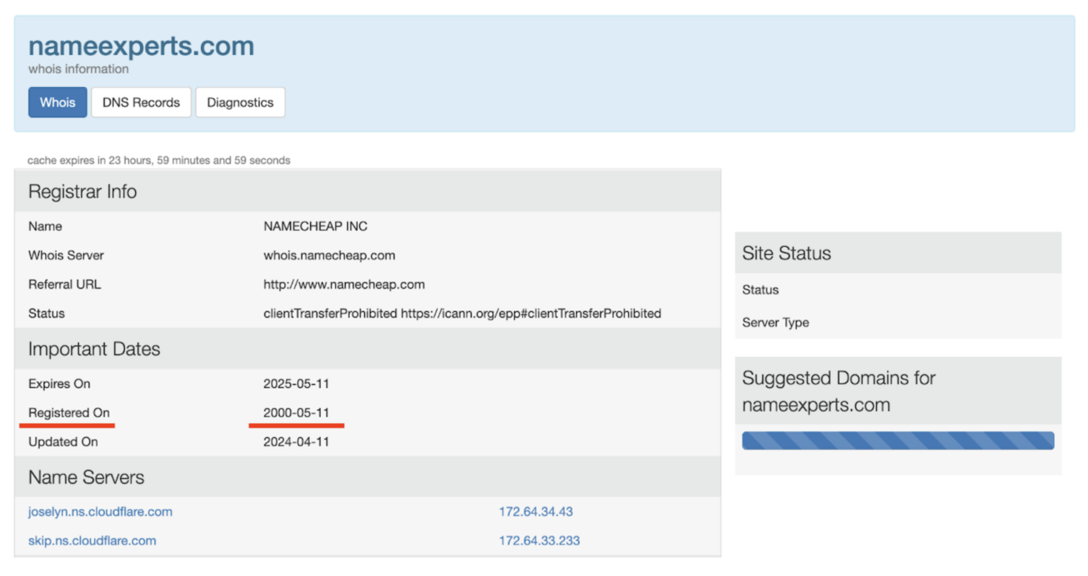 Screengrab of WHOIS entry for NameExperts.com website