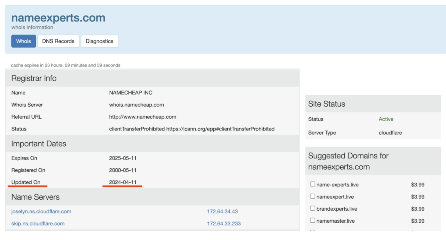 Second shot of NameExperts entry on WHOIS