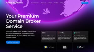 Homepage of NameExperts.com - domain name specialists