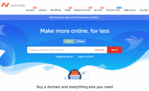 Screenshot of NameCheap website for summary of domain buy services